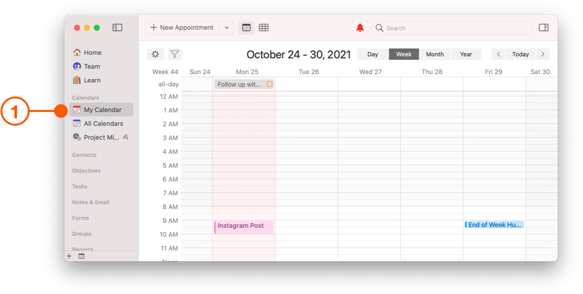 My Calendar View