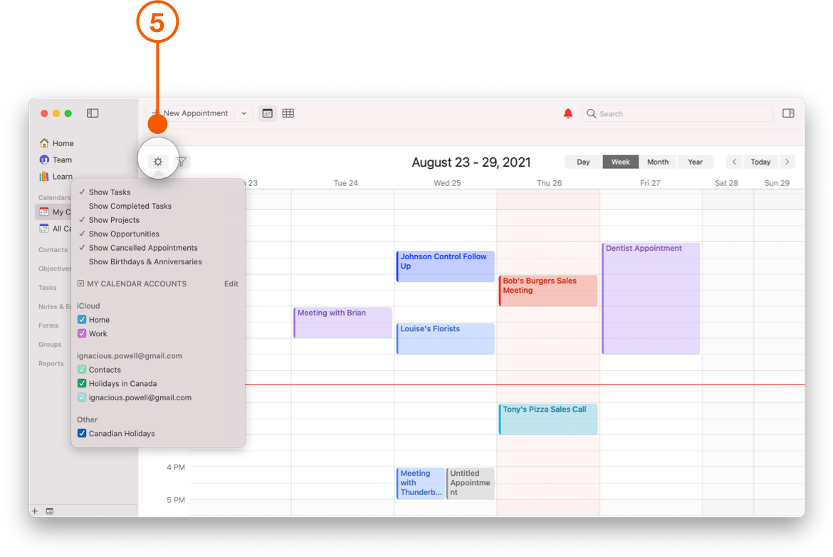 Daylite Calendar Action Button showing display options