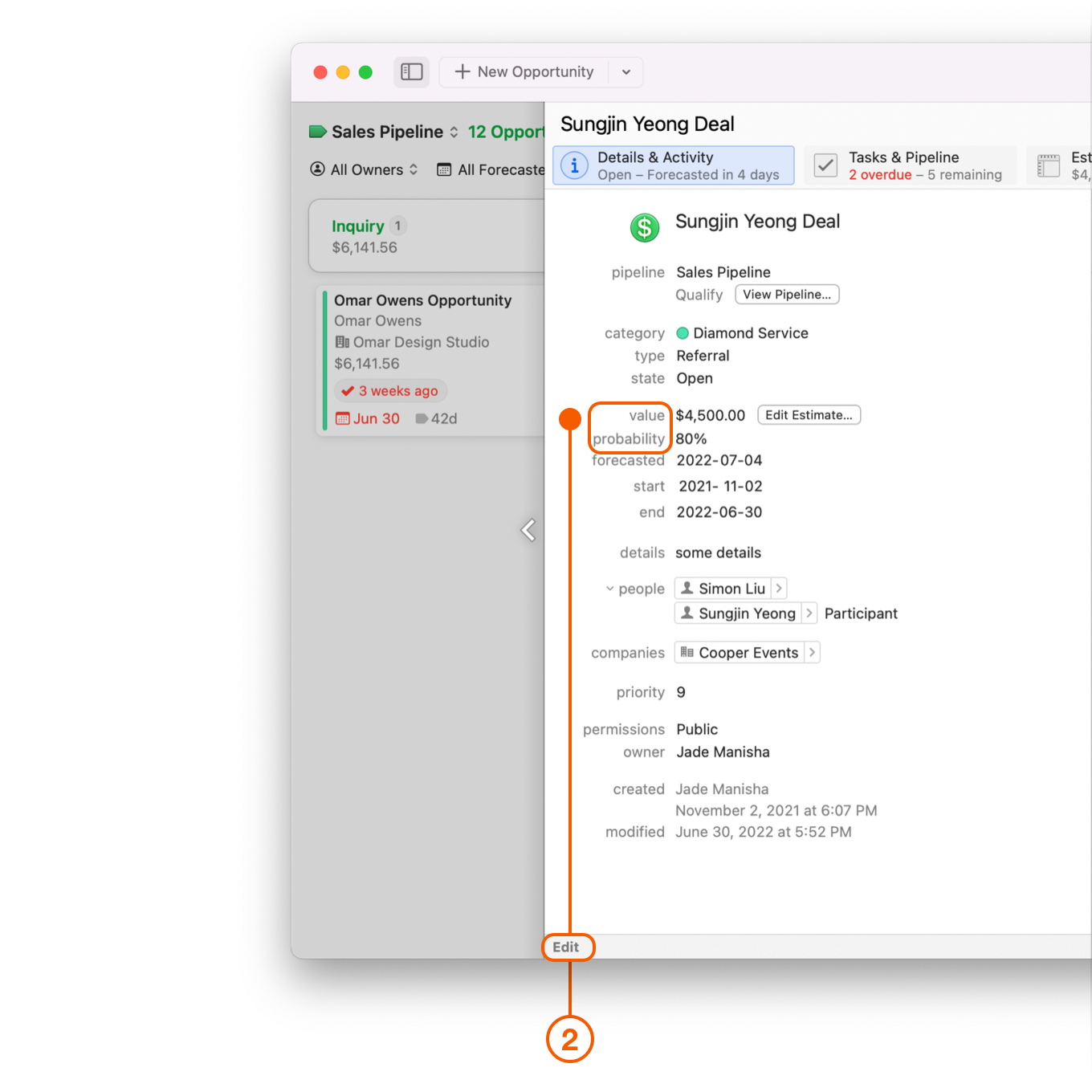 Opportunity Window showing Details and Activity pane