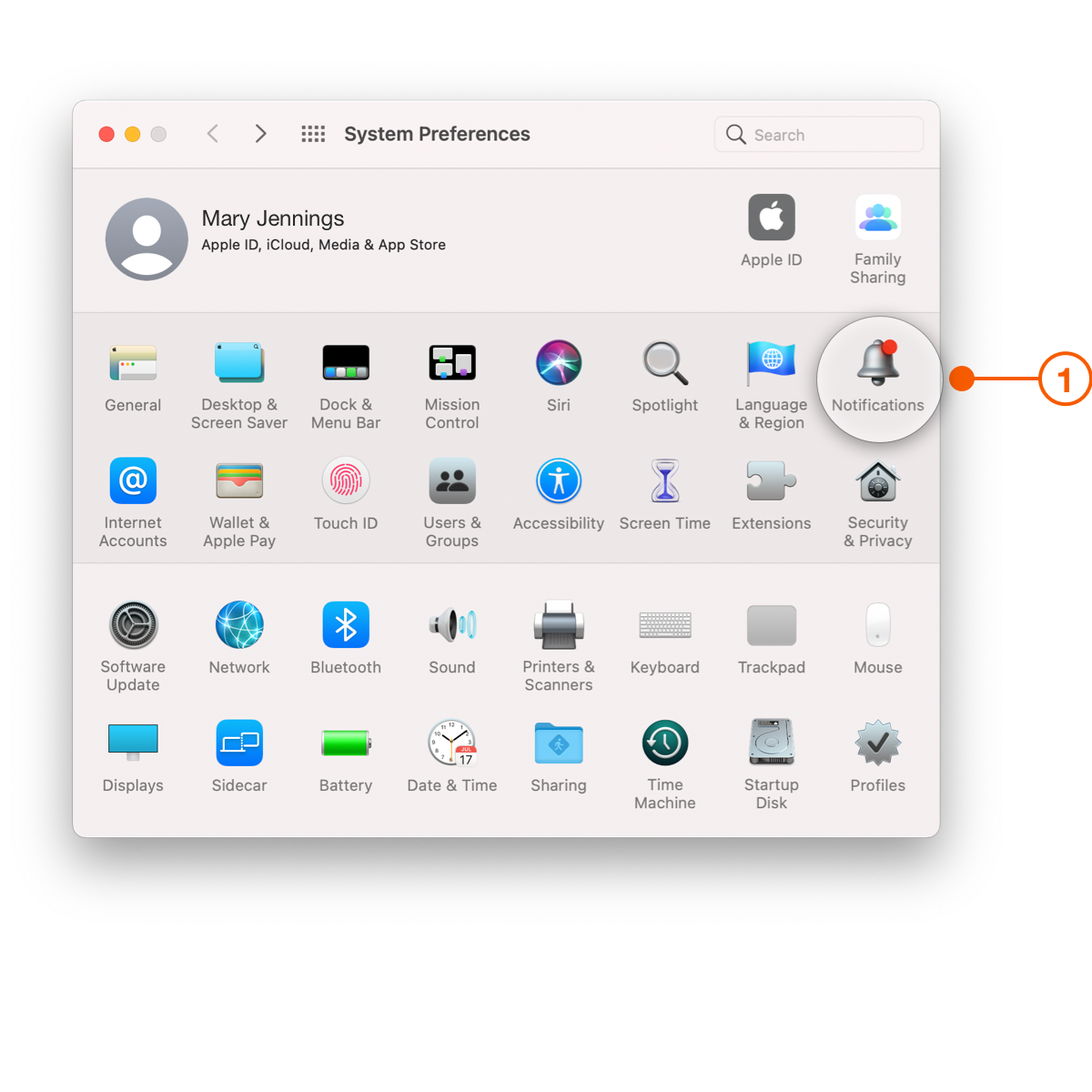 macOS System Preferences window selecting Notifications