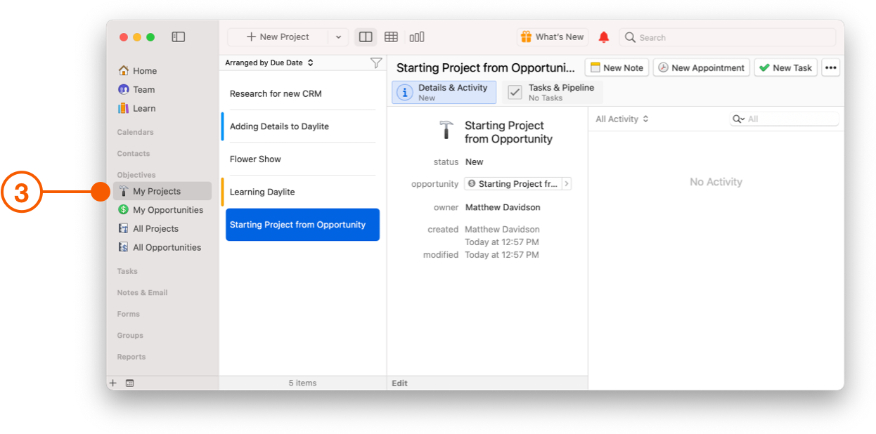 My Projects View showing project details