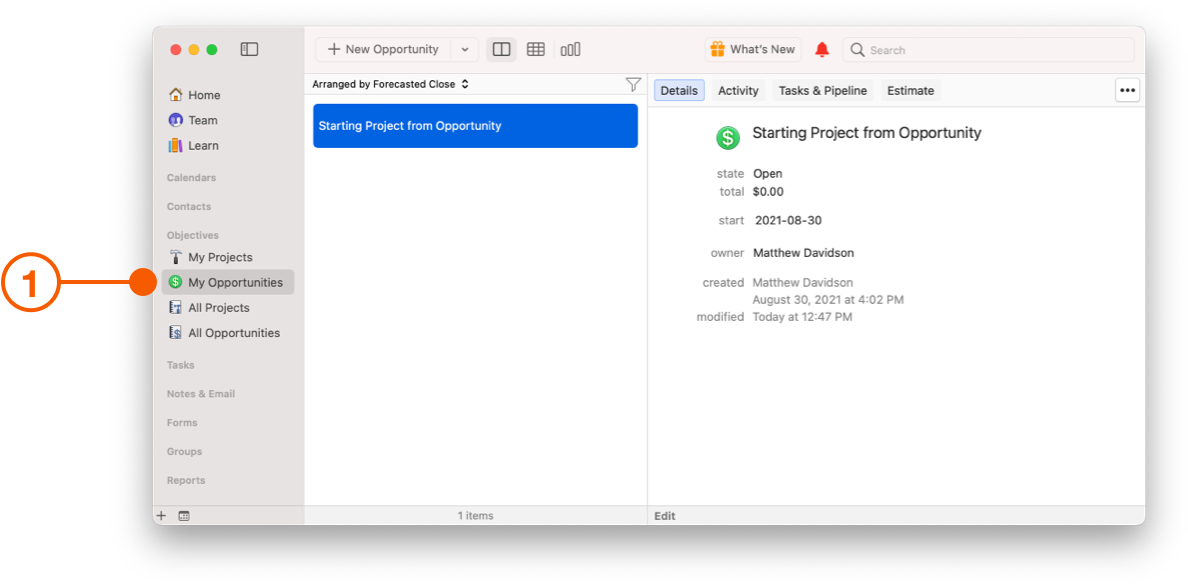 My Opportunities View showing opportunity selected