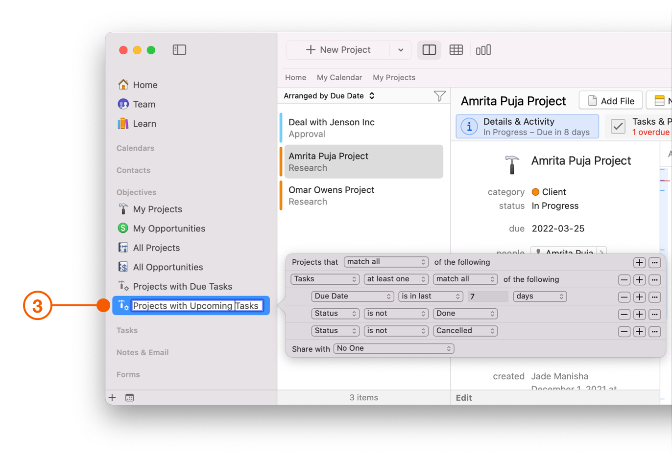 Daylite Sidebar showing Project Dashboard