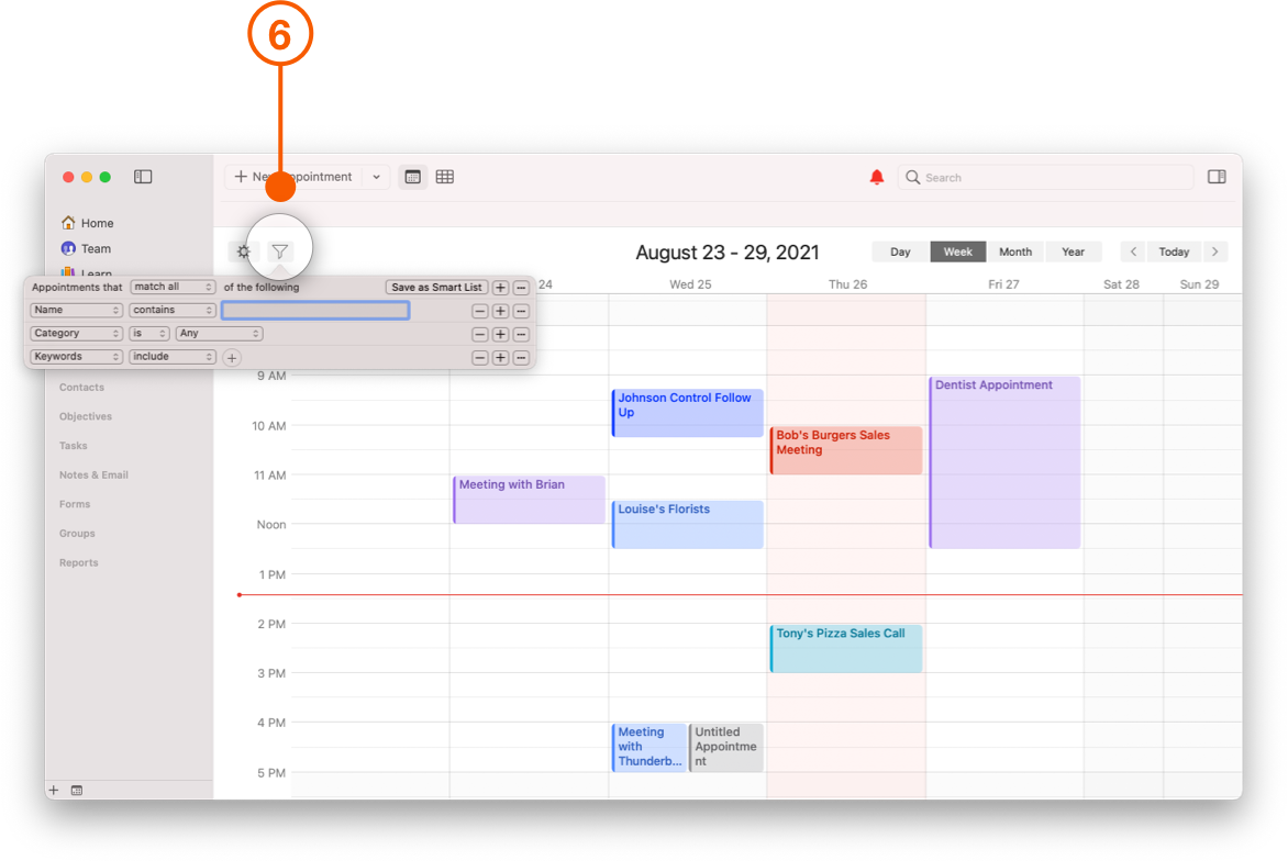 Daylite Calendar view showing Filter Button and options